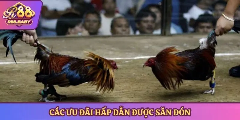 Các ưu đãi hấp dẫn được săn đón