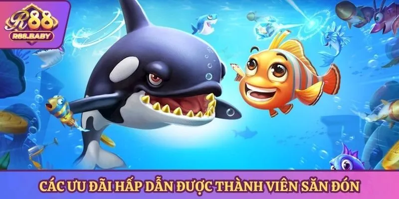 Các ưu đãi hấp dẫn được thành viên săn đón