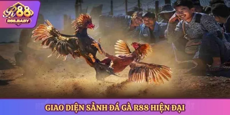Giao diện sảnh đá gà R88 hiện đại
