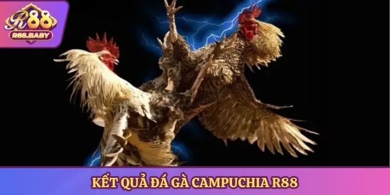 Kết quả đá gà Campuchia R88