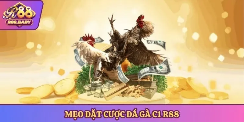 Mẹo đặt cược đá gà c1 R88